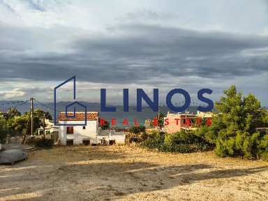 Αίγινα (Νησιά Αργοσαρωνικού)