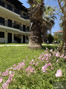 Πευκοχώρι, Παλλήνη (Χαλκιδική)