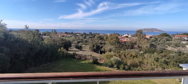 Θυμάρι, Παλαιά Φώκαια (Υπόλοιπο Αττικής)