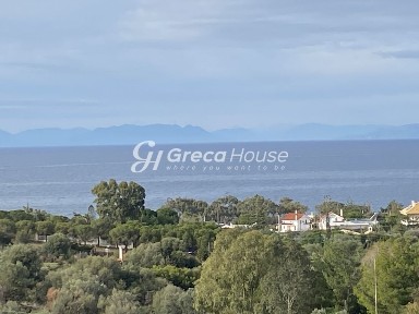 Θυμάρι, Παλαιά Φώκαια (Υπόλοιπο Αττικής), Πήγασου, 190 13, Παλαιά Φώκαια