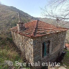 Μεγάλος Πρίνος, Θάσος (Ν. Καβάλας)