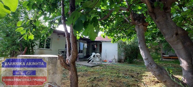 Ζυγός, Φίλιπποι (Ν. Καβάλας)