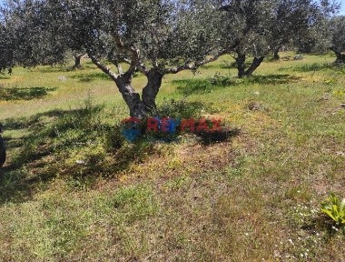 Μεζονέτα, 140τ. μ.