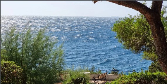 Studio / Γκαρσονιέρα, 47τ. μ.
