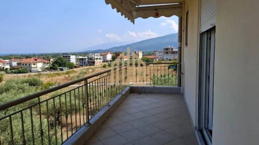 Λεπτοκαρυά, Ανατολικος Όλυμπος (Ν. Πιερίας)