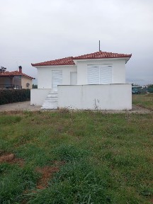 Λεπτοκαρυά, Ανατολικος Όλυμπος (Ν. Πιερίας)