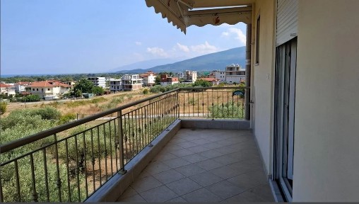Λεπτοκαρυά, Ανατολικος Όλυμπος (Ν. Πιερίας), Βασιλέως Γεωργίου, 600 63 Ανατολικός Όλυμπος