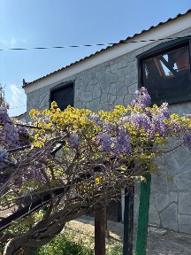 Ραχώνι, Θάσος (Ν. Καβάλας), Agios Georgios, 640 10 Thasos