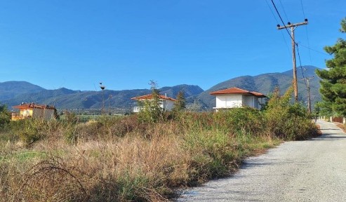 Λεπτοκαρυά, Ανατολικος Όλυμπος (Ν. Πιερίας), Αγίου Γεωργίου, Δίον-Όλυμπος 60063