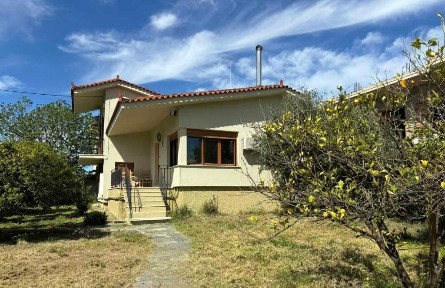 Λευκαντί, Ληλάντιο (Εύβοια), Λευκαντίου, 340 02 Ληλάντιοι