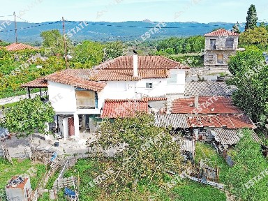 Πλάκα, Μεγαλόπολη (Αρκαδία), Πλάκα 22200