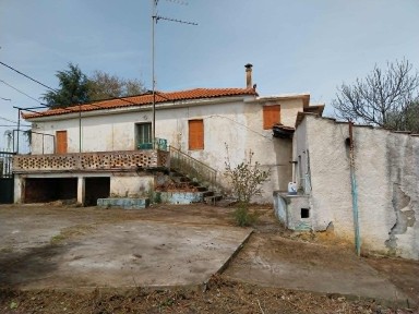 Καλτεζές, Βαλτέτσι (Αρκαδία), Επαρχιακή Οδός Αγριακόνα-Καλτεζές, 220 27 Βαλτέτσι