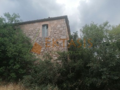Ελαιοχώρι, Κορύθιο (Αρκαδία)