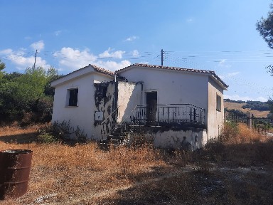 Λυγιές, Μεσσατίδα (Αχαΐα)