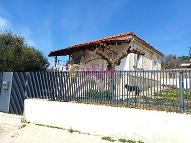 Διάκου Σαμακιά, Πάτρα (Αχαΐα)