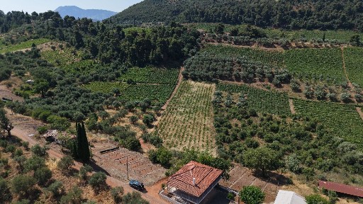 Μονοκατοικία, 60τ. μ.