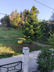 Θωμέικα, Λεόντιο (Αχαΐα), χαλανδρίτσα Αχαίας Ελλάδα