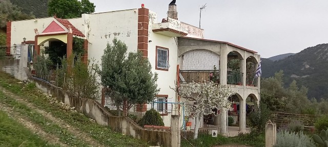Καρυά, Πάτρα (Αχαΐα), Δρυάδων, 265 00 Πάτρα