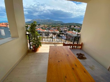 Ελιά, Μολάοι (Λακωνία), Επαρχιακή Οδός Σκάλας-Αγίου Ιωάννη, Μονεμβασιά 23052