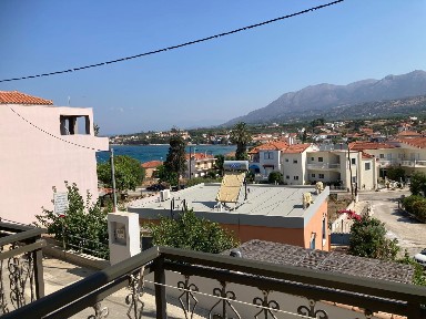 Ελιά, Μολάοι (Λακωνία)