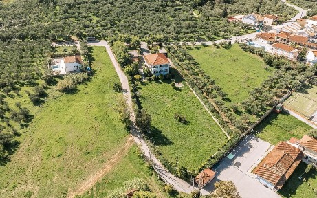 Τραγάκι, Αρκάδι (Ζάκυνθος), Επαρχιακή Οδός Ζακύνθου-Γερακάρη, Ζάκυνθος 29100
