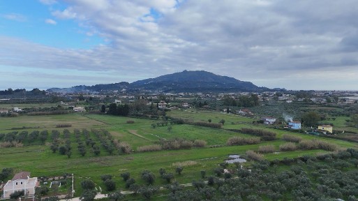 Αμπελόκηποι - Καλπάκι, Χώρα Ζακύνθου (Ζάκυνθος), Επαρχιακή Οδός Ρόιδου-Σαρακινάδου 29100