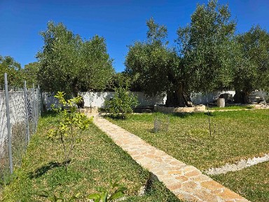 Καλαμάκι - Μαργαραίικα, Λαγανάς (Ζάκυνθος), Επ. Οδός Ζακύνθου-Μαύρων Βολιών, Καλαμάκι 29100