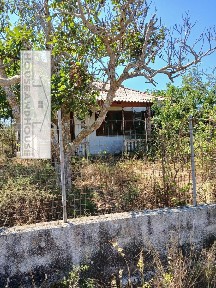 Άνω Βολίμες, Ελάτιο (Ζάκυνθος), Επ. Οδός Ζακύνθου-Βολίμων, Βολίμες 29090