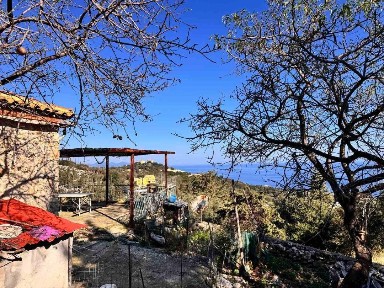 Άγιος Νικόλαος, Ελάτιο (Ζάκυνθος), Ασκός, Ασκός 29090