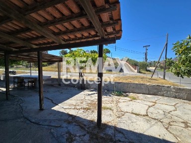 Αμπελόκηποι - Καλπάκι, Χώρα Ζακύνθου (Ζάκυνθος)