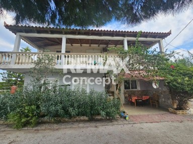 Αμπελόκηποι - Καλπάκι, Χώρα Ζακύνθου (Ζάκυνθος)