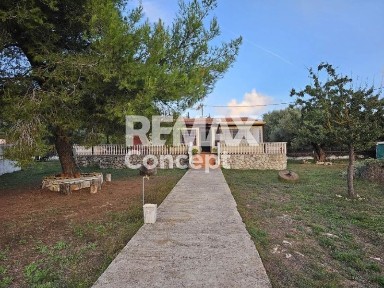 Αναφωνήτρια, Ελάτιο (Ζάκυνθος)