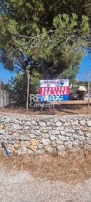 Άνω Βολίμες, Ελάτιο (Ζάκυνθος)