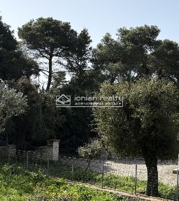 Αρτεμίσιο (Ζάκυνθος)