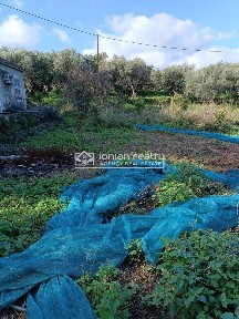 Ψαρού, Αλυκές (Ζάκυνθος), Alukes