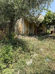 Ξίφυτας, Χώρα Ζακύνθου (Ζάκυνθος)