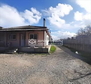 Αμπελόκηποι - Καλπάκι, Χώρα Ζακύνθου (Ζάκυνθος)