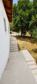 Λαγώποδο, Αρτεμίσιο (Ζάκυνθος)