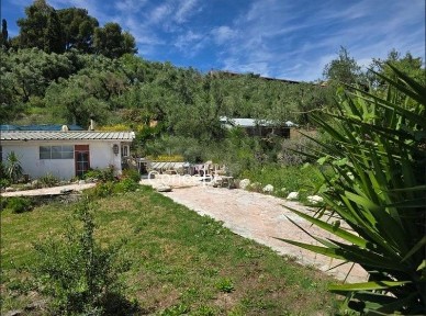 Συγκρότημα διαμερισμάτων, 455τ. μ.
