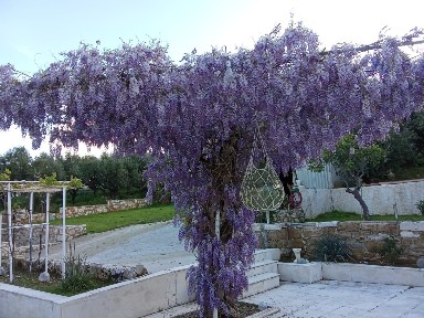 Μονοκατοικία, 130τ. μ.
