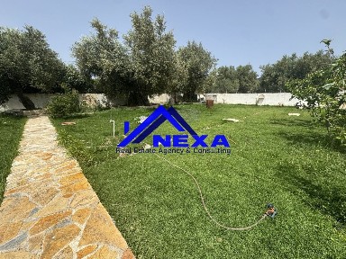 Καλαμάκι - Μαργαραίικα, Λαγανάς (Ζάκυνθος)