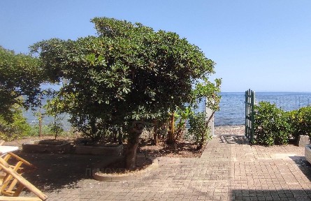 Αργάσι, Χώρα Ζακύνθου (Ζάκυνθος)