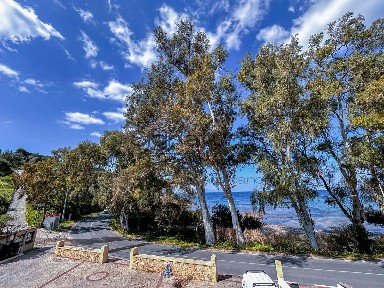 Κέντρο, Αίγινα (Νησιά Αργοσαρωνικού)