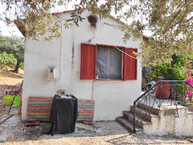 Κέντρο, Τροιζήνα (Νησιά Αργοσαρωνικού)