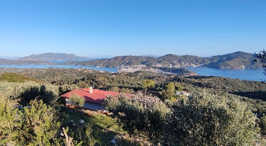 Μονοκατοικία, 48τ. μ.