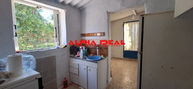 Νέα Μενεμένη, Σαλαμίνα (Νησιά Αργοσαρωνικού)