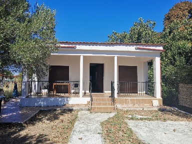 Νέα Καλλικράτεια, Καλλικράτεια (Χαλκιδική), Εκάλης, 630 80 Καλλικράτεια