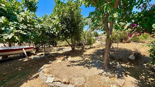 Λιβάδι, Αίγινα (Νησιά Αργοσαρωνικού)