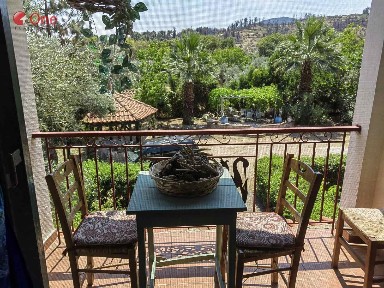 Ψαροπούλι, Αρτεμίσιο (Εύβοια)