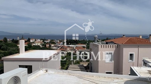 Ομηρούπολη, Χίος (Ν. Χίου), Βροντάδος